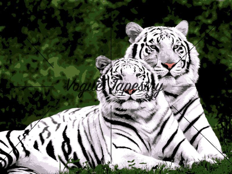 Kreuzstich-Set 'Weißer Tiger' – 40x50 Cm, 11 CT Vorgedruckte Leinwand, Inkl. Faden, Nadeln & Anleitung