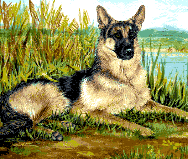 deutscher schäferhund (al 001) gobelin stickbild stickpackung