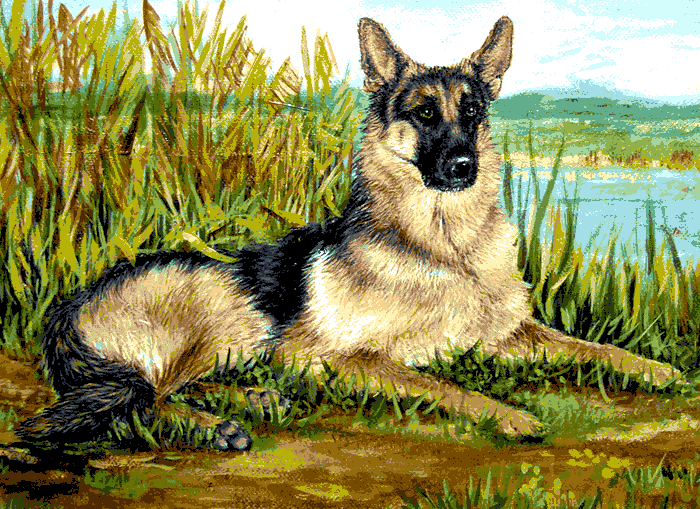 deutscher schäferhund (al 001) gobelin stickbild stickpackung