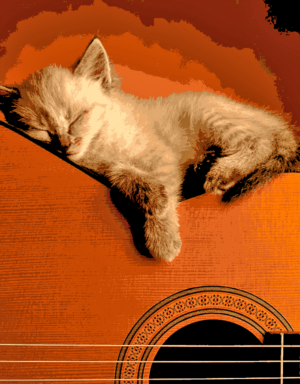 katze auf der gitarre (al 011) gobelin stickbild stickpackung