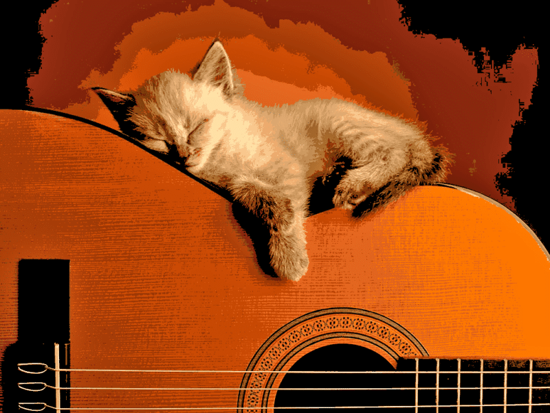 katze auf der gitarre (al 011) gobelin stickbild stickpackung