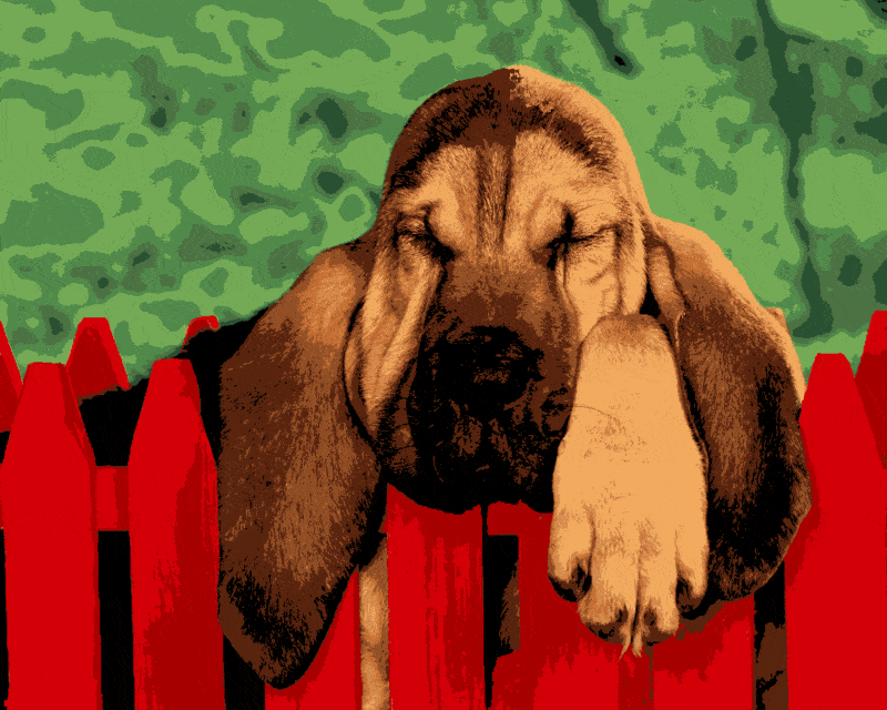 langohriger hund (al 014) gobelin stickbild stickpackung