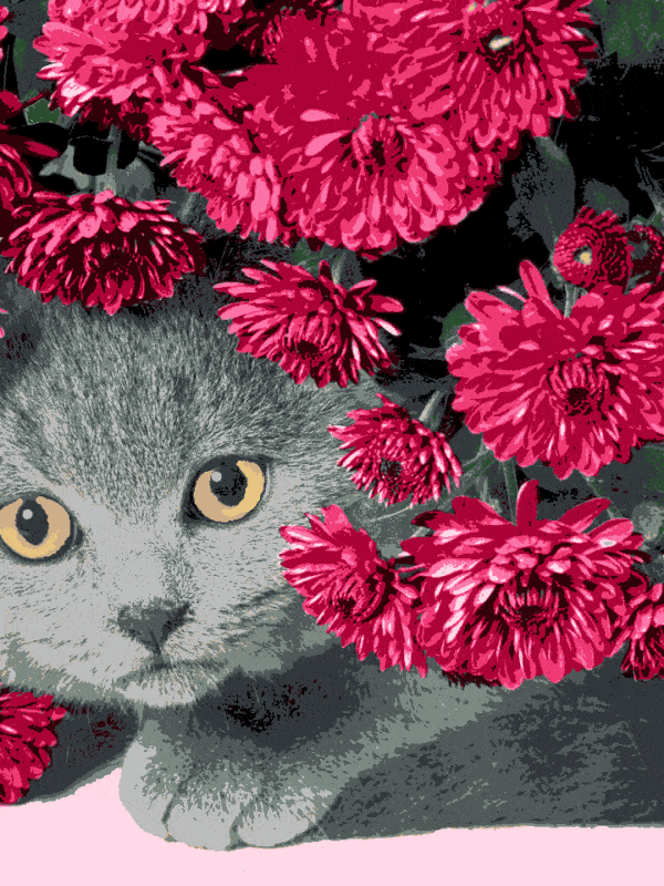 katze unter den blumen (al 017) gobelin stickbild stickpackung