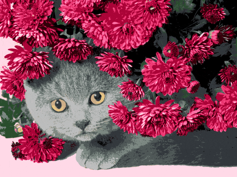 katze unter den blumen (al 017) gobelin stickbild stickpackung