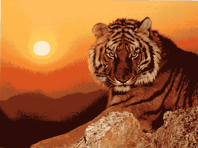 tiger bei sonnenuntergang (al 040) gobelin stickbild stickpackung