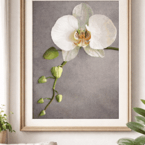 bezaubernde orchideen (mg 1110) gobelin stickbild stickpackung