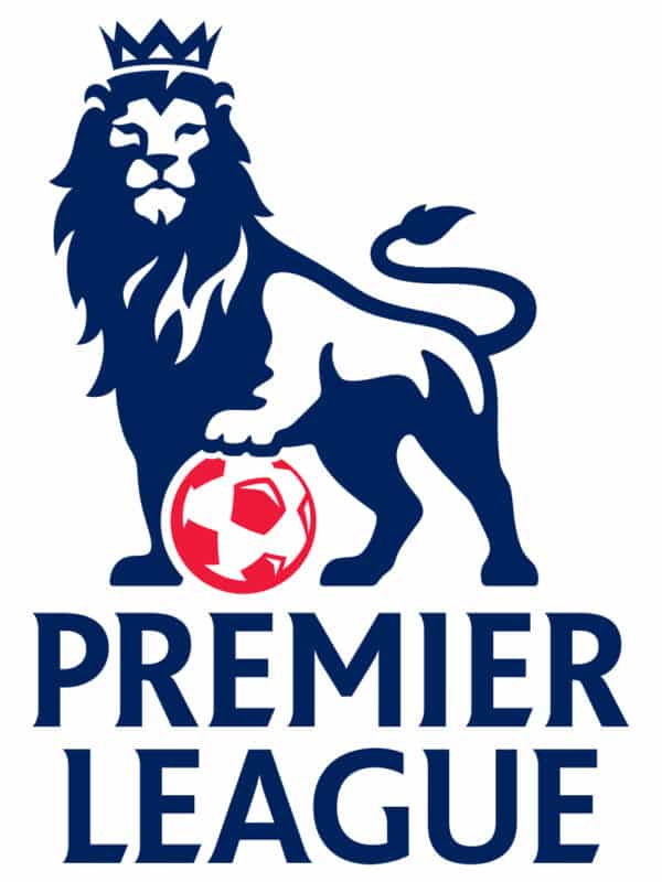 premier league logo (eg 048) gobelin stickbild stickpackung