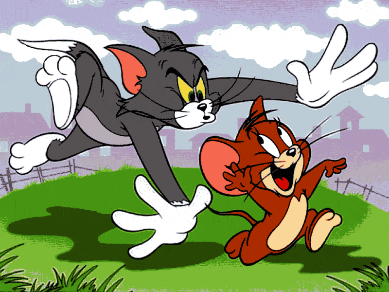 tom und jerry (gy 052) gobelin stickbild stickpackung
