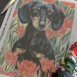 dackel zwischen blumen (mg 338) gobelin stickbild stickpackung