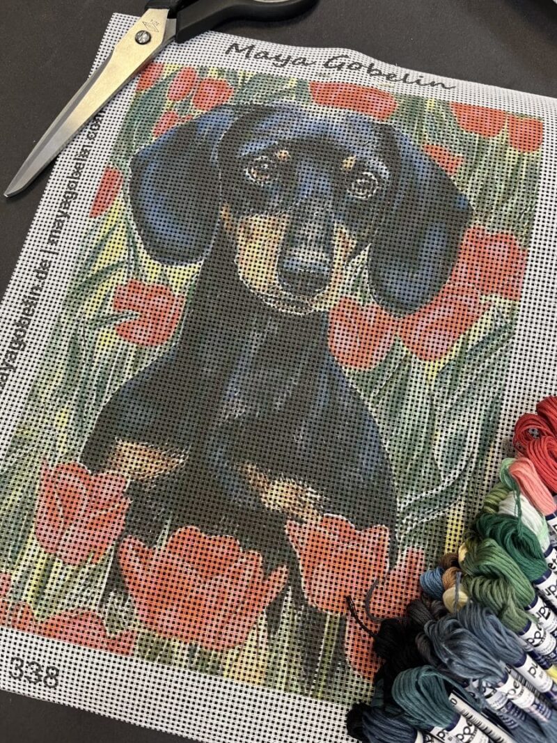 dackel zwischen blumen (mg 338) gobelin stickbild stickpackung