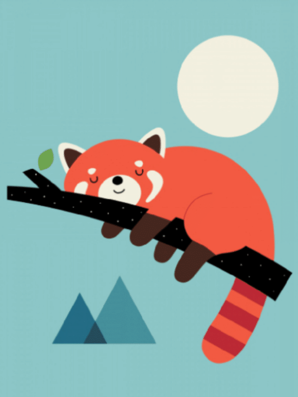 der waschbär (mg 279) gobelin stickbild stickpackung