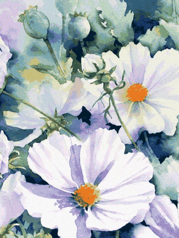mohnblumen (mg 021) gobelin stickbild stickpackung