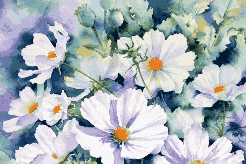 mohnblumen (mg 021) gobelin stickbild stickpackung
