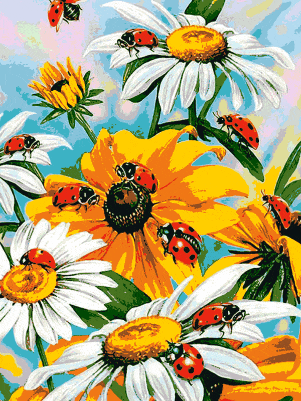 blumen und marienkäfer (mg 053) gobelin stickbild stickpackung