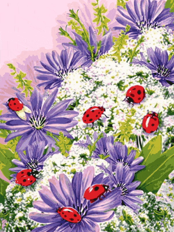 blumen und marienkäfer (mg 058) gobelin stickbild stickpackung