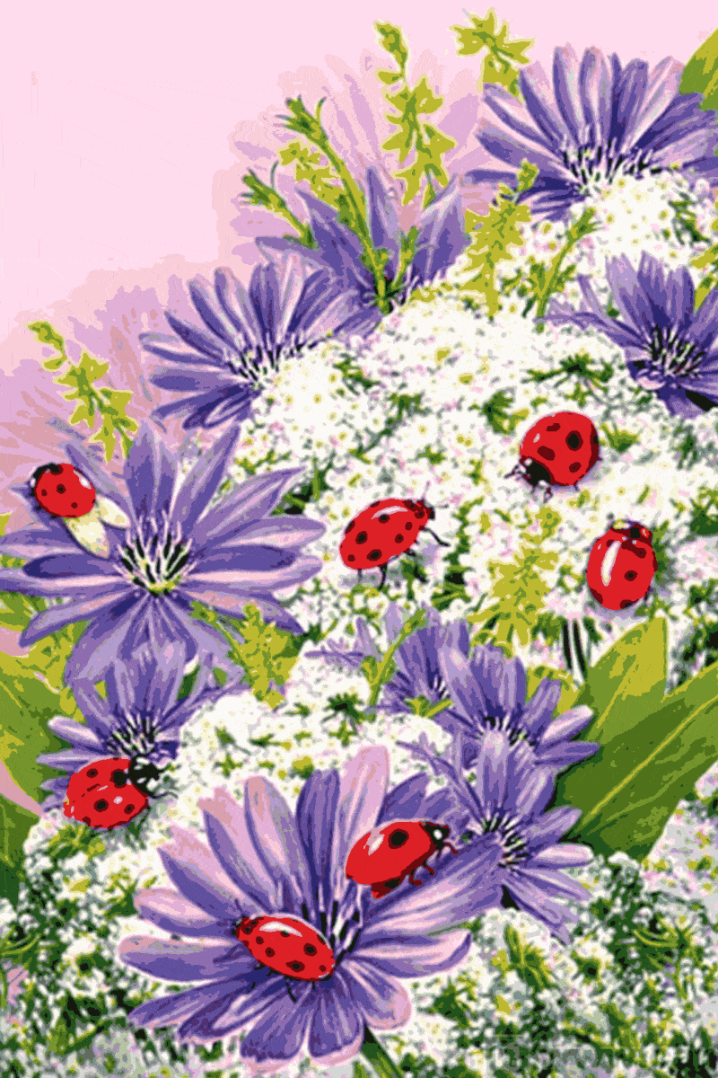 blumen und marienkäfer (mg 058) gobelin stickbild stickpackung