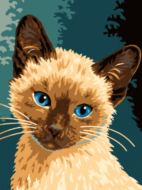 katzenserie (mg 066) gobelin stickbild stickpackung