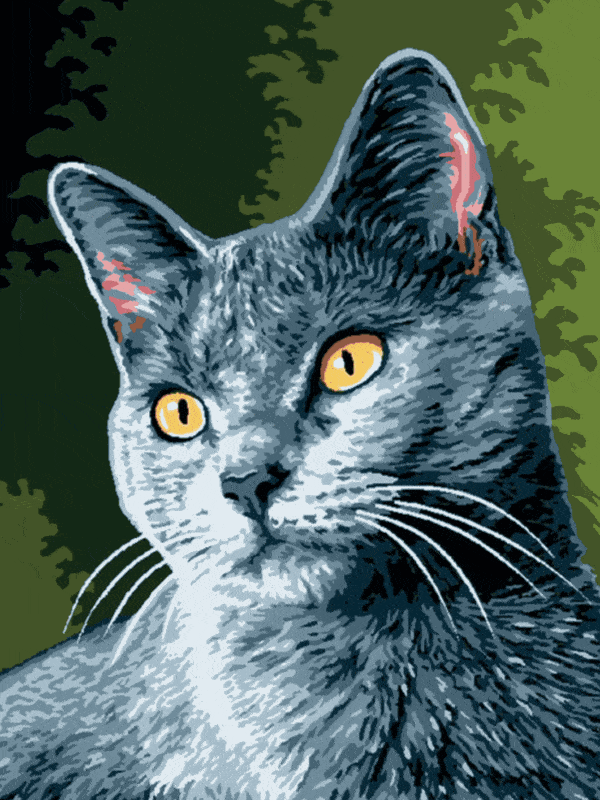 katzenserie (mg 067) gobelin stickbild stickpackung