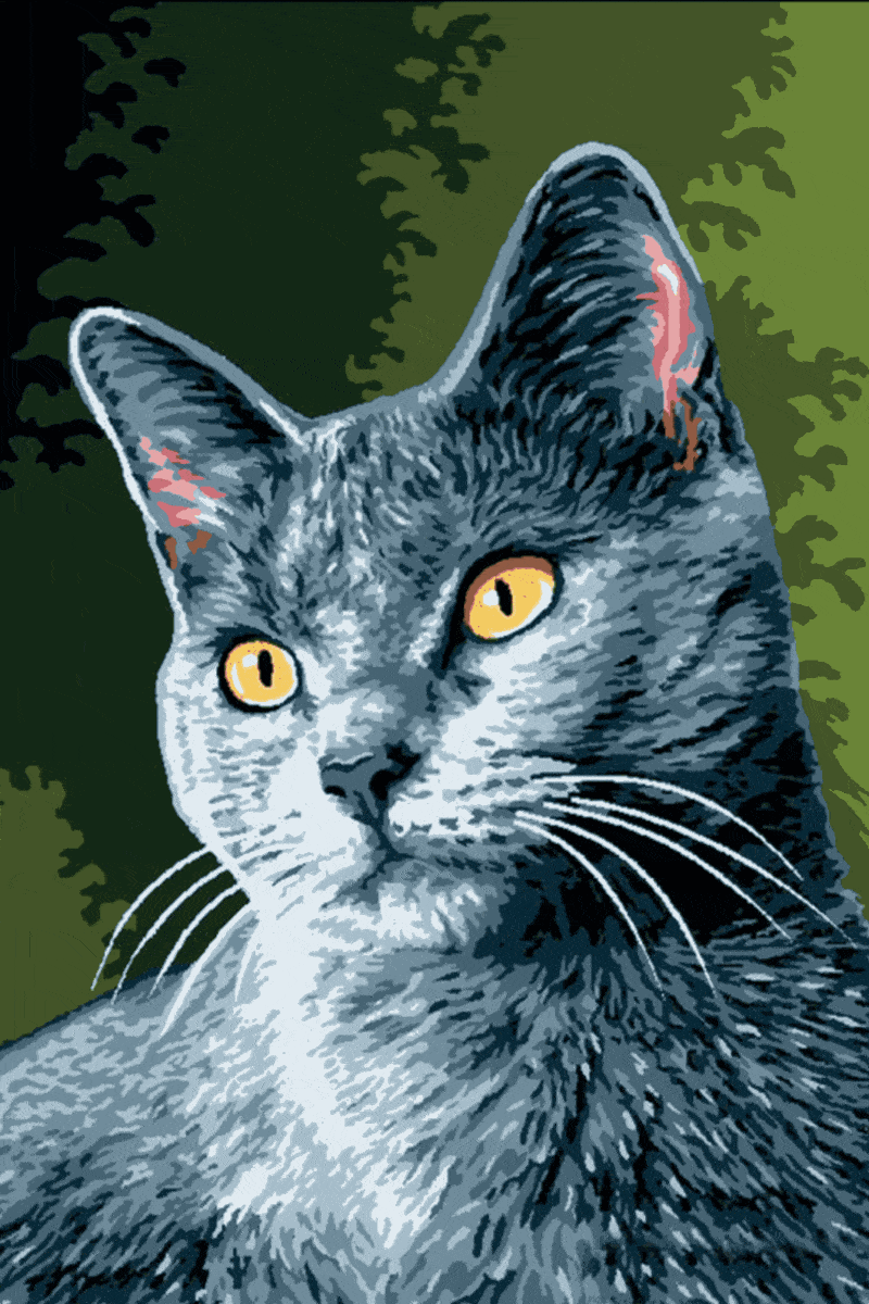 katzenserie (mg 067) gobelin stickbild stickpackung