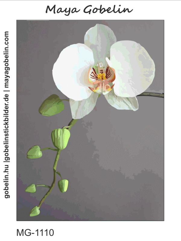 bezaubernde orchideen (mg 1110) gobelin stickbild stickpackung