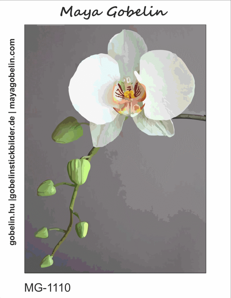 bezaubernde orchideen (mg 1110) gobelin stickbild stickpackung