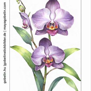 bezaubernde orchideen iii. (mg 1112) gobelin stickbild stickpackung