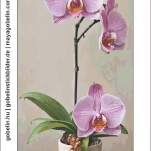 bezaubernde orchideen iv. (mg 1113) gobelin stickbild stickpackung