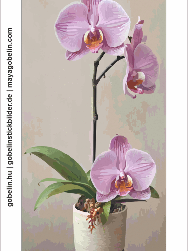 bezaubernde orchideen iv. (mg 1113) gobelin stickbild stickpackung