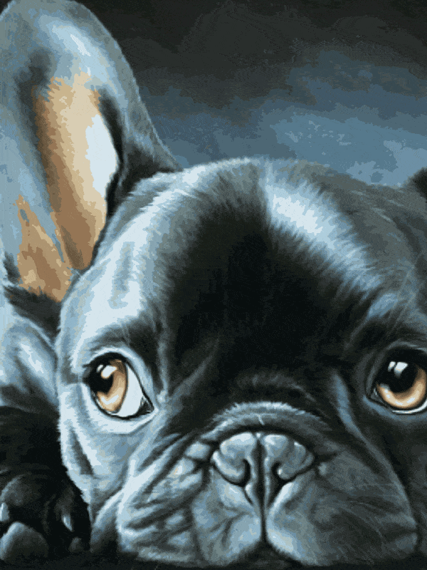 süße französische bulldogge (mg 220) gobelin stickbild stickpackung