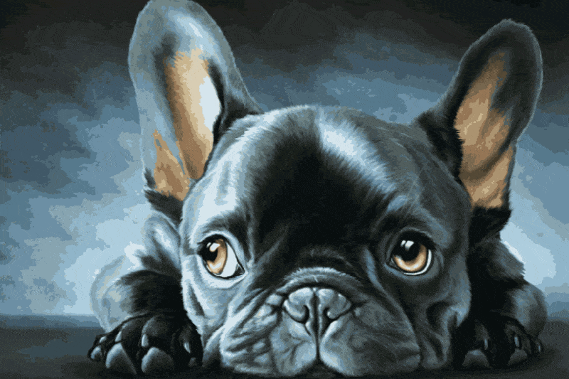 süße französische bulldogge (mg 220) gobelin stickbild stickpackung