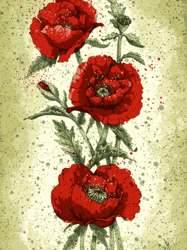rote rosen malen (mg 251) gobelin stickbild stickpackung