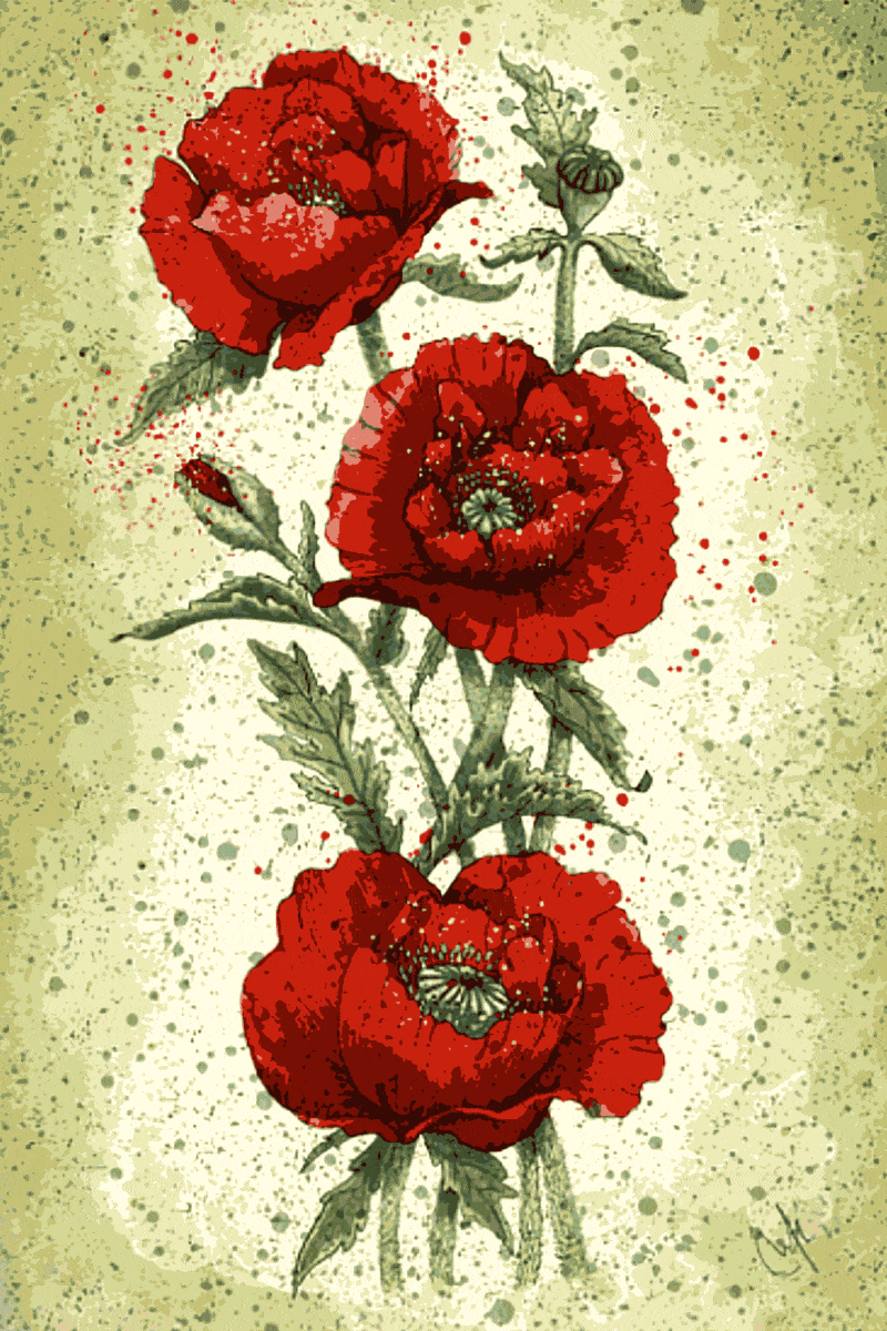 rote rosen malen (mg 251) gobelin stickbild stickpackung