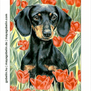 dackel zwischen blumen (mg 338) gobelin stickbild stickpackung