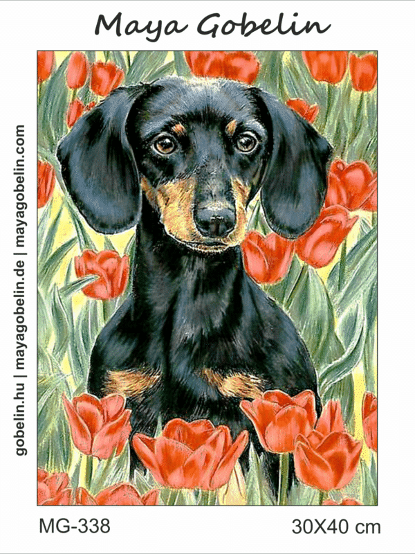 dackel zwischen blumen (mg 338) gobelin stickbild stickpackung