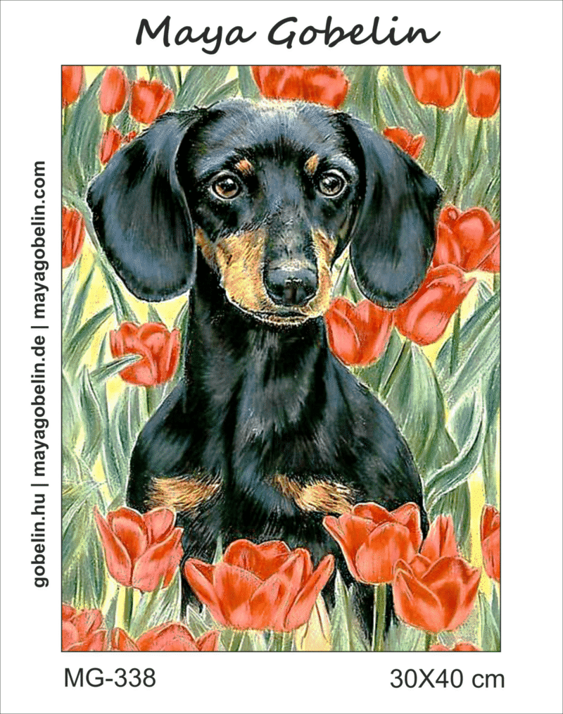 dackel zwischen blumen (mg 338) gobelin stickbild stickpackung