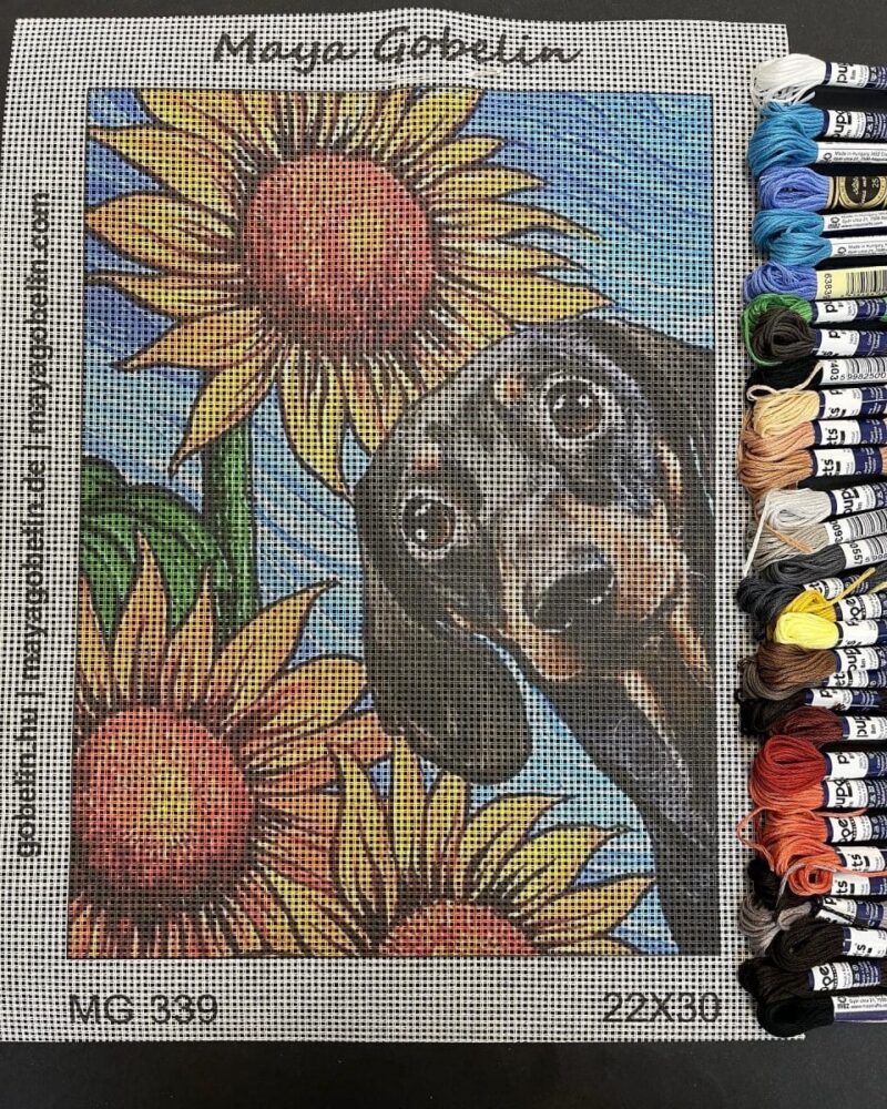 dackel in den sonnenblumen (mg 339) gobelin stickbild stickpackung