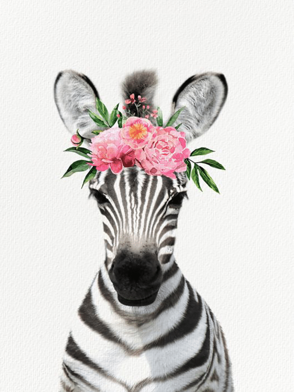 zebra mit blumen (mg 345) gobelin stickbild stickpackung