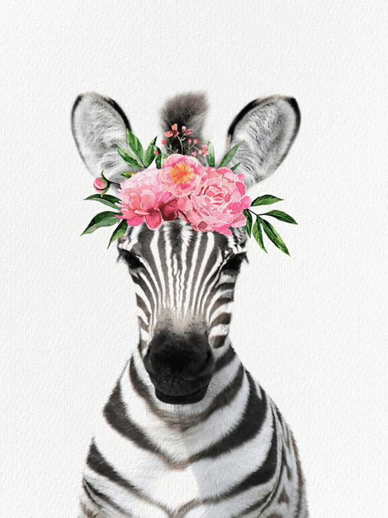 zebra mit blumen (mg 345) gobelin stickbild stickpackung