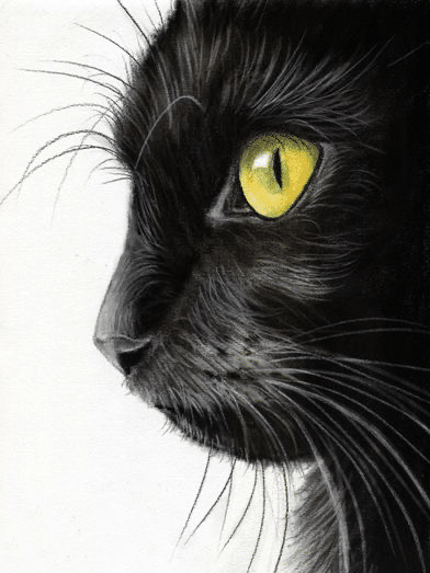 schwarze katze (mg 354) gobelin stickbild stickpackung