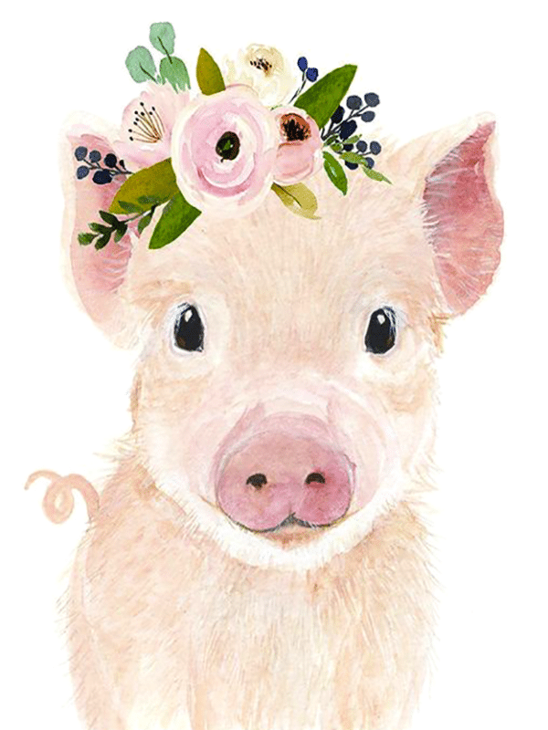schwein mit blumen (mg 378) gobelin stickbild stickpackung