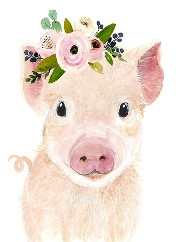 schwein mit blumen (mg 378) gobelin stickbild stickpackung