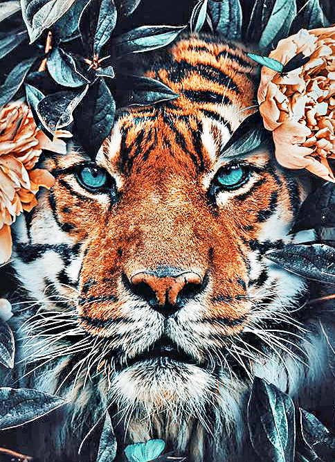 tiger mit blumen (mg 393) gobelin stickbild stickpackung