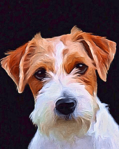 fox terrier (mg 400) gobelin stickbild stickpackung