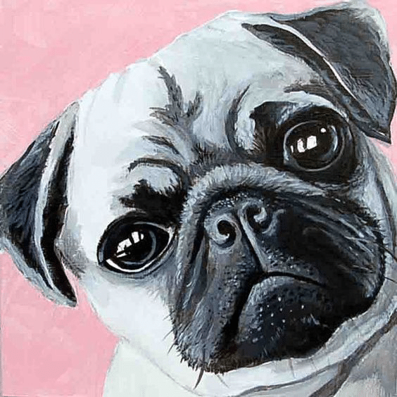 mops hund (mg 402) gobelin stickbild stickpackung