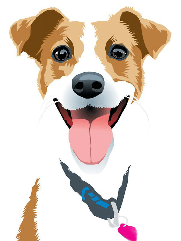 jack russell terrier (mg 403) gobelin stickbild stickpackung