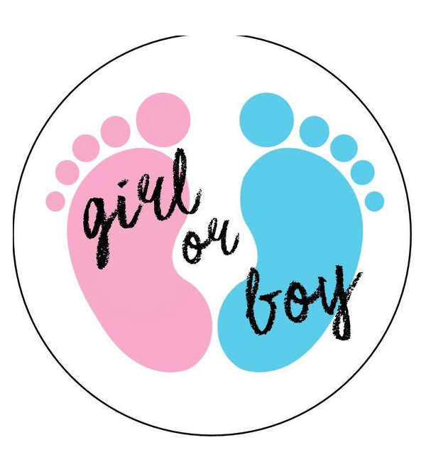 girl or boy (mg 412) gobelin stickbild stickpackung