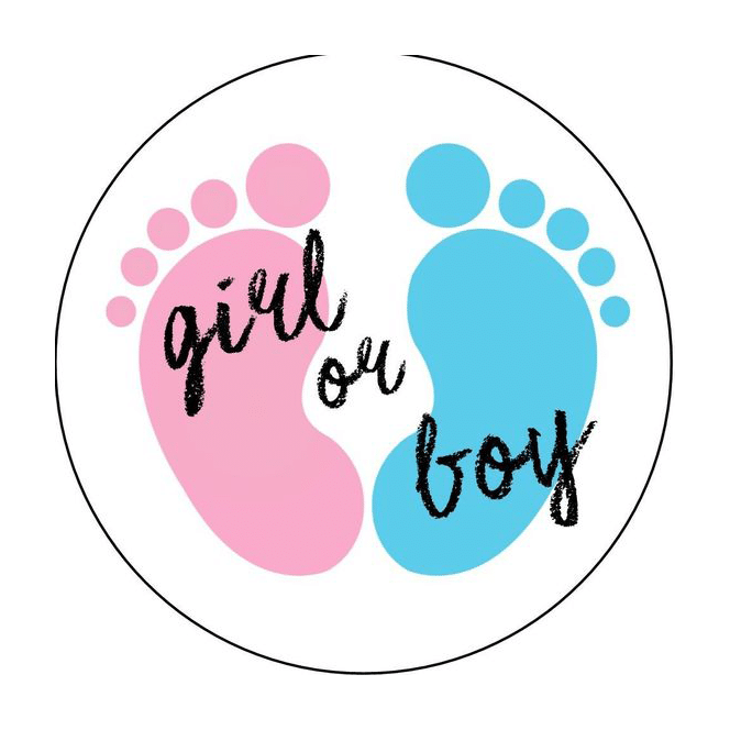 girl or boy (mg 412) gobelin stickbild stickpackung