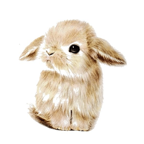 kleiner hase (mg 424) gobelin stickbild stickpackung
