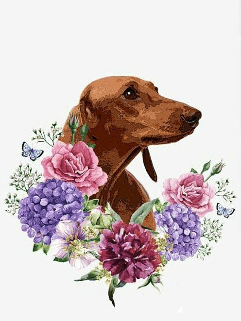 dackel mit blumen (mg 433) gobelin stickbild stickpackung