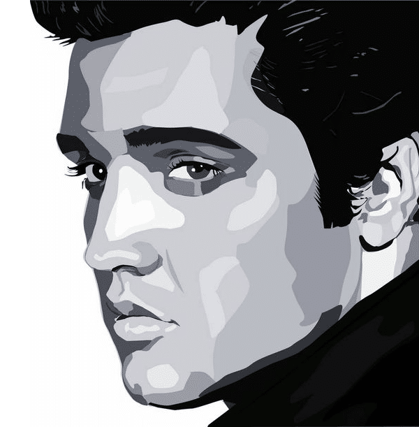 elvis presley (mg 482) gobelin stickbild stickpackung